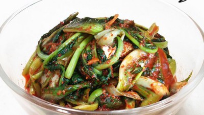올여름 책임질 맛! 특가 열무물김치 주문 후기🥬