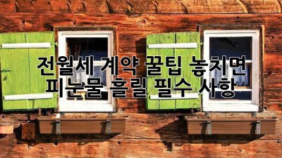 전월세 계약 꿀팁🍯: 놓치면 🏡피눈물😭 흘릴 필수 사항